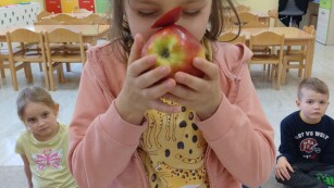dziewczynka w pomarańczowej bluzie i żółtym szliku przykłada do twarzy żółto-pomarańczowe jabłko